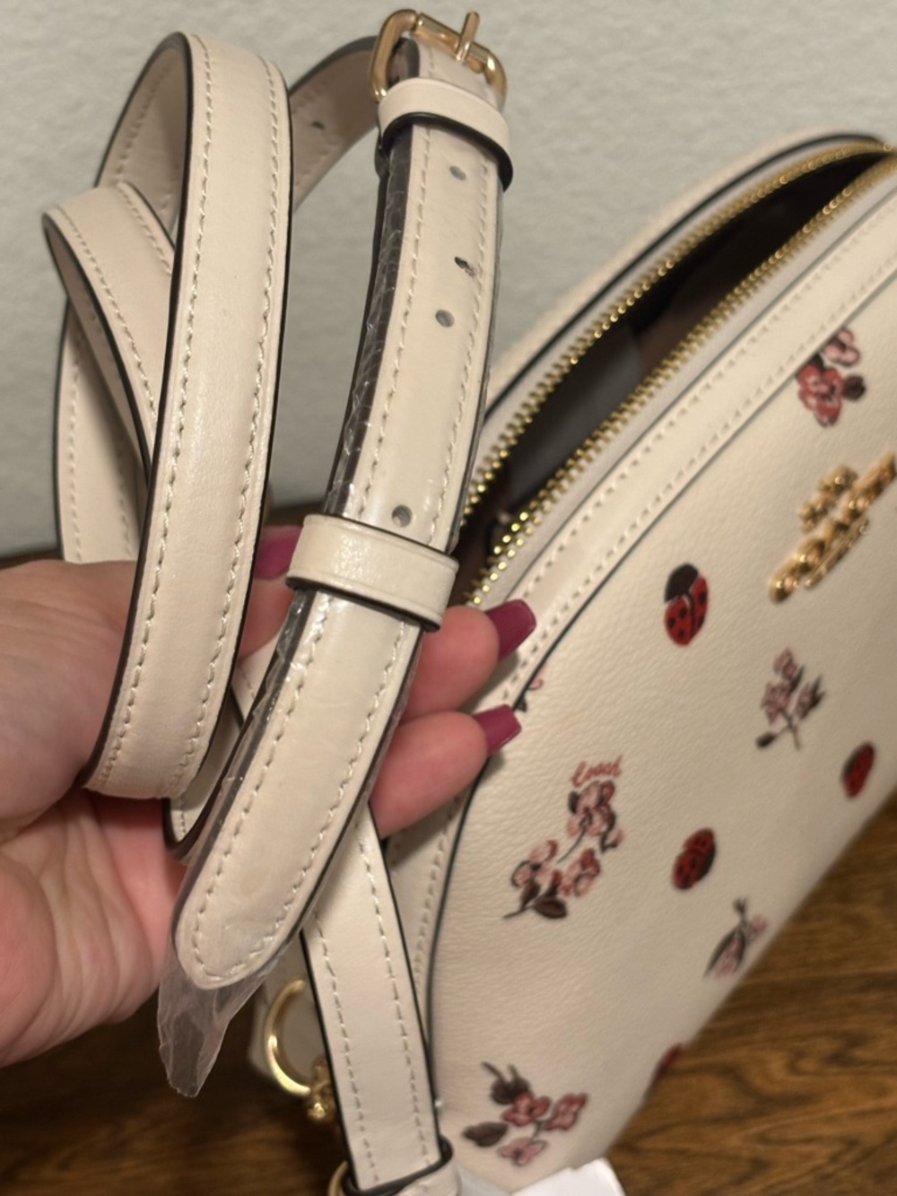 Coach Floral & Ladybug Print Crossbody Bag - Cream, Red, Pink - Picture 11 of 15